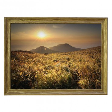 Картина обогреватель...