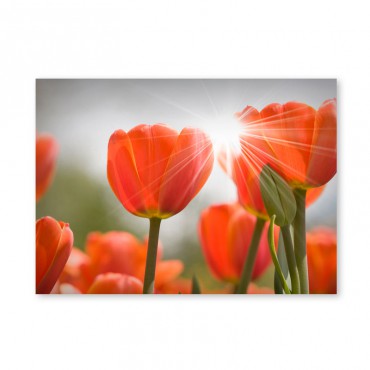 Картина обогреватель...