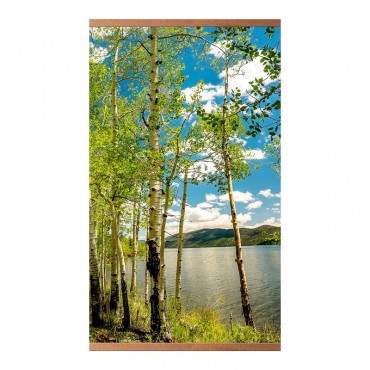 Домашний очаг «Берез...