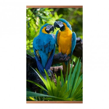 Домашний очаг «Попуг...